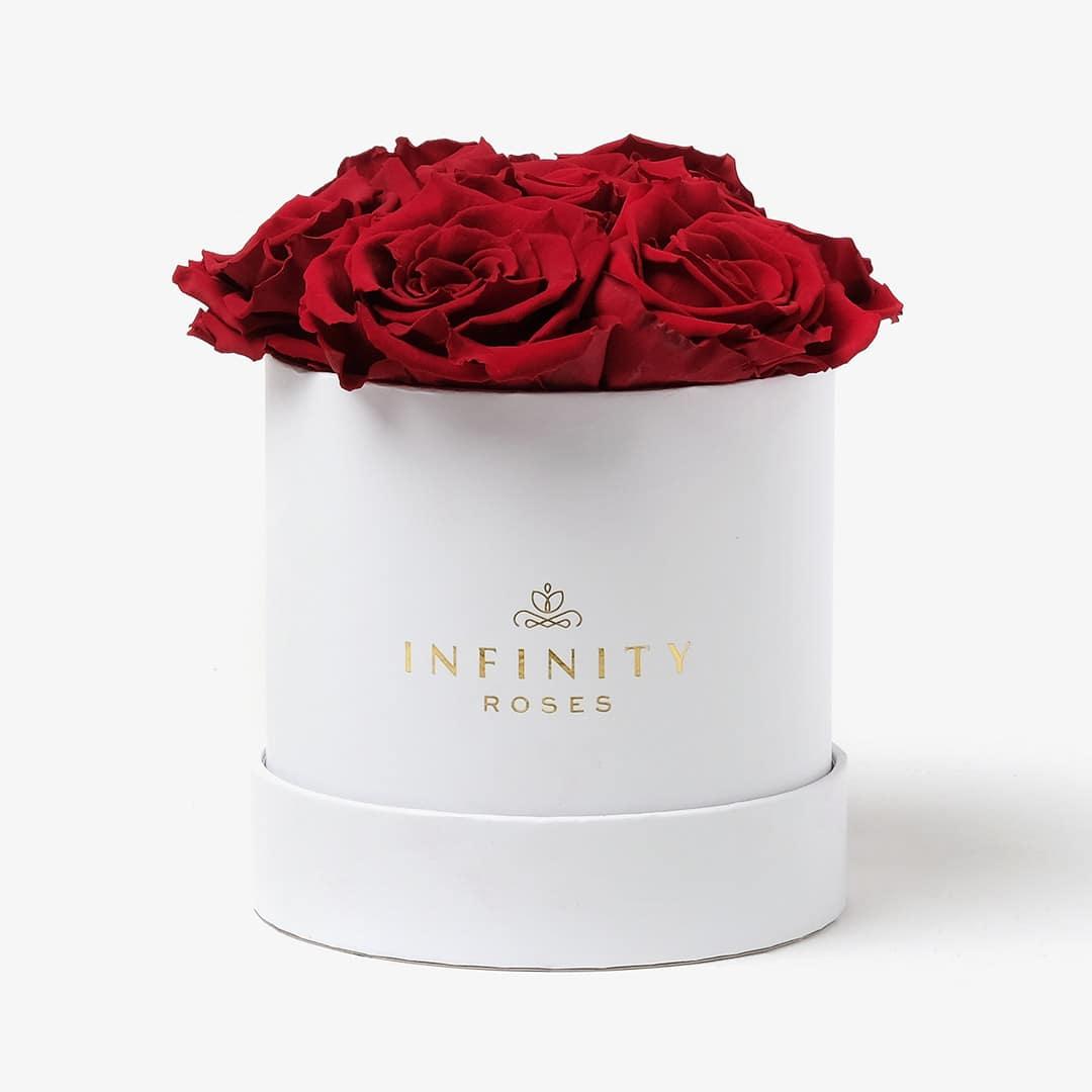 Medium Infinity Roses Bloom Box with 7 Red Forever roses