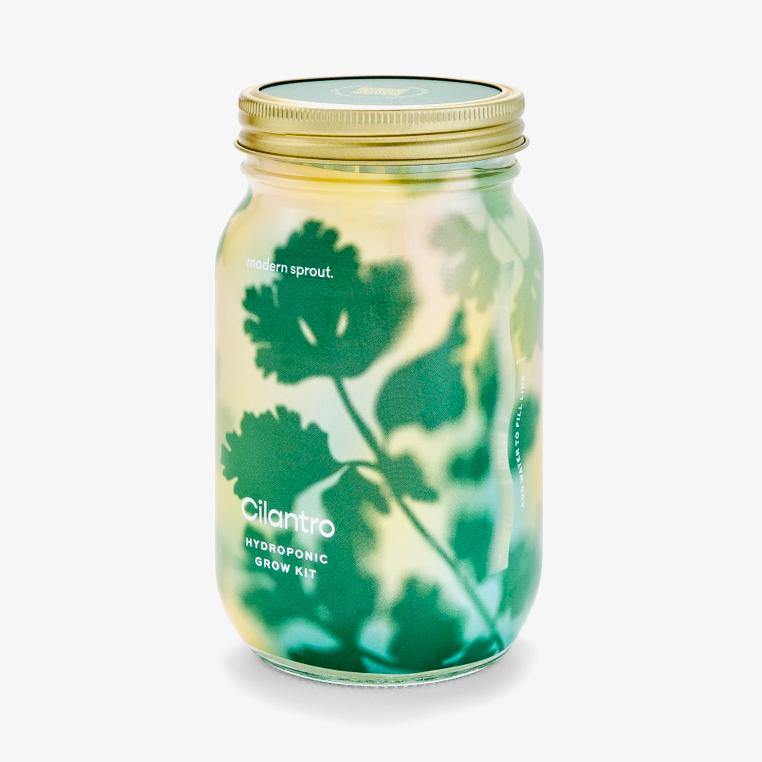 Cilantro Herb Garden Jar